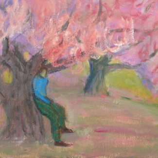 Resting Under Cherries