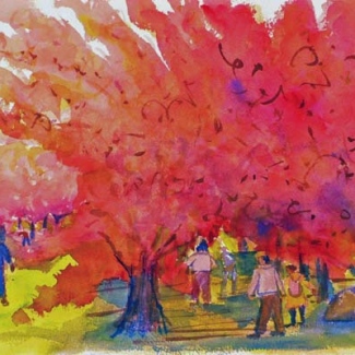 Cherry Arch Walk