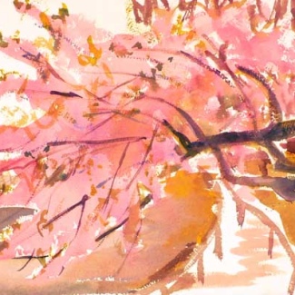 Cherry Cascade