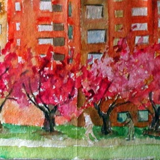 Early Cherry Trees