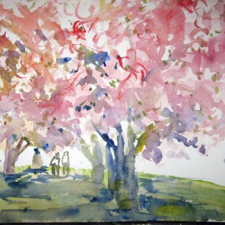 Cherries in AM