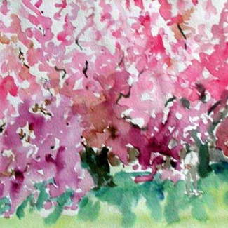 Cherry II