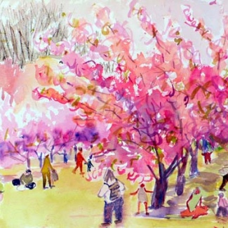 Families Under Cherries