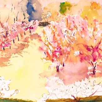 Open Lawn with Cherries